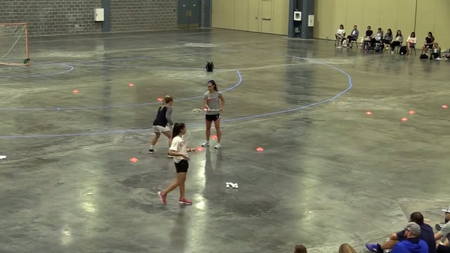 2019 Stickwork & Shooting